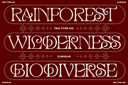 TAN - CURIOUS, a Serif Font by TanType (Thumbnail 7 of 11)