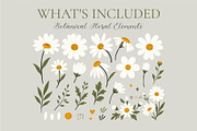 Wild Daisy Floral Set & Patterns, a Decorative Illustration by OREHOVKA (Thumbnail 2 of 4)