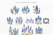 BLUEBONNET FLOWER CLIPART, an Object Graphic by EllyandLima (Thumbnail 6 of 7)