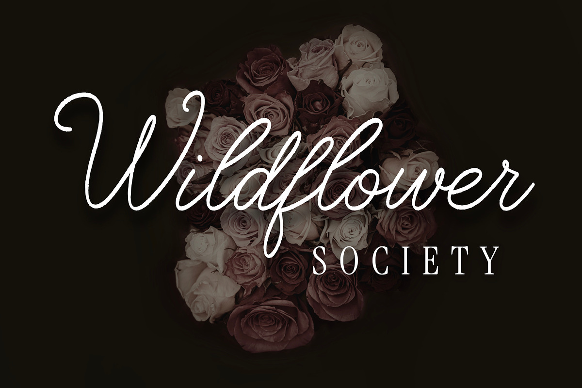 Cottage Kiss Handwritten Script Font, a Script Font by The Creative Bix (Photo 3 of 9)
