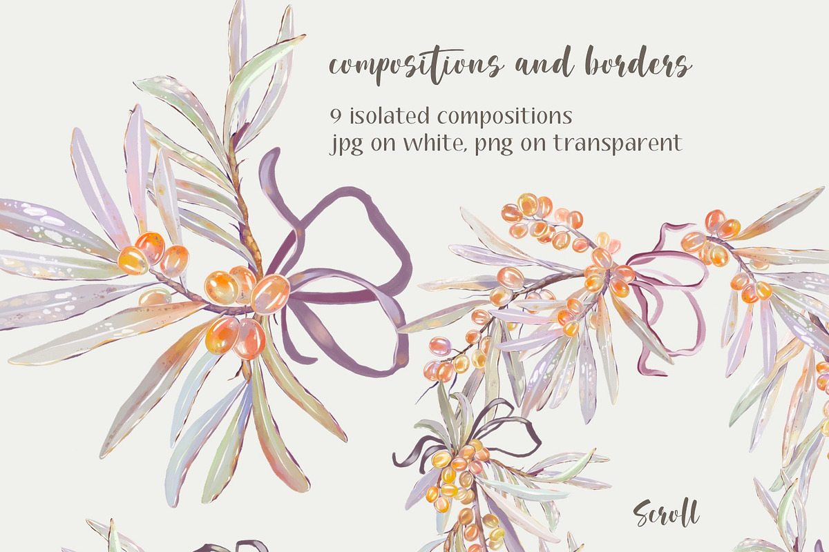 Sea buckthorn clipart and patterns, a Decorative Illustration by Shabbypie (Photo 3 of 7)