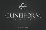 Font Bundle: 80+ professional fonts, a Font by Dene Studios (Thumbnail 19 of 31)