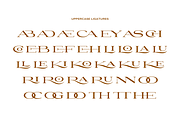 Yasiroh - Modern Serif Font, a Serif Font by Sronstudio (Thumbnail 3 of 19)