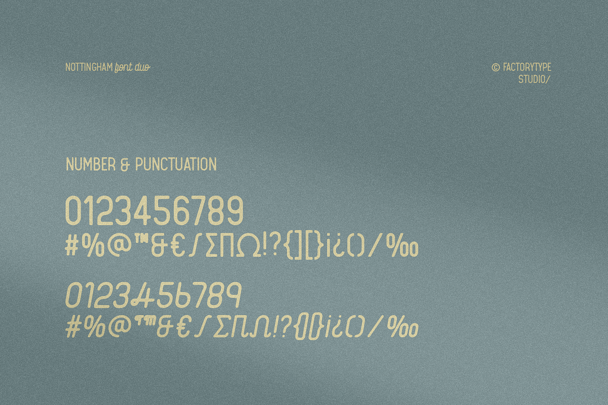 Nottingham, a Sans Serif Font by FactoryType Studio (Photo 8 of 11)