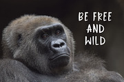 Jungle Display Font, a Script Font by Nadezda (Thumbnail 3 of 8)