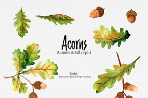 Autumn Clip Art: ACORNS Watercolor