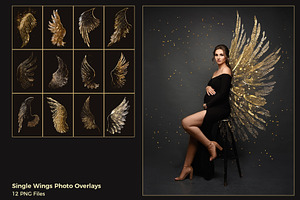 Glitter Wings Overlays