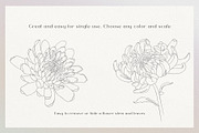 Blossom - floral line art, an Illustration by Anna.Klets (Thumbnail 7 of 14)