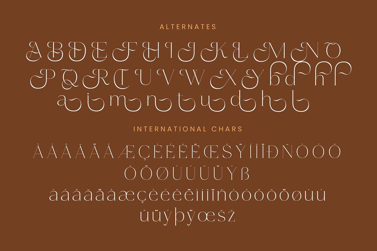 Amethys Mistralit Modern Display, a Serif Font by Letterena Studios (Photo 14 of 15)