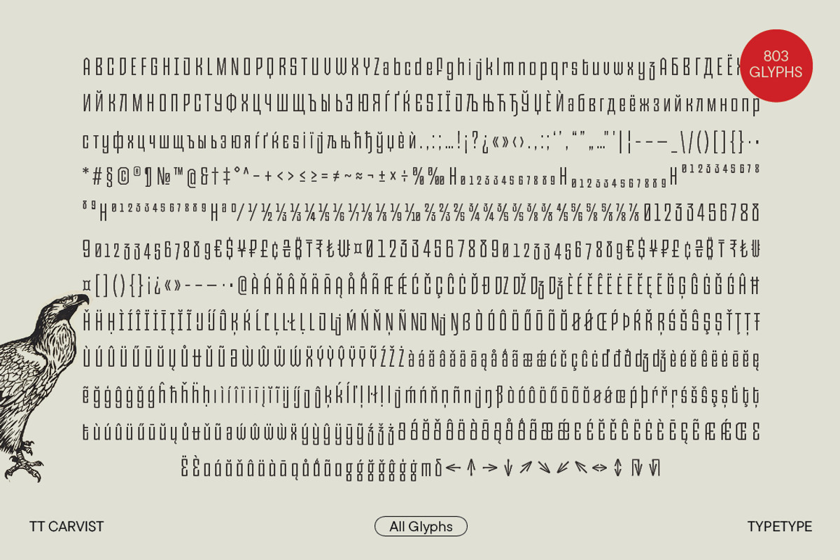 TT Carvist, a Sans Serif Font by TypeType (Photo 5 of 15)