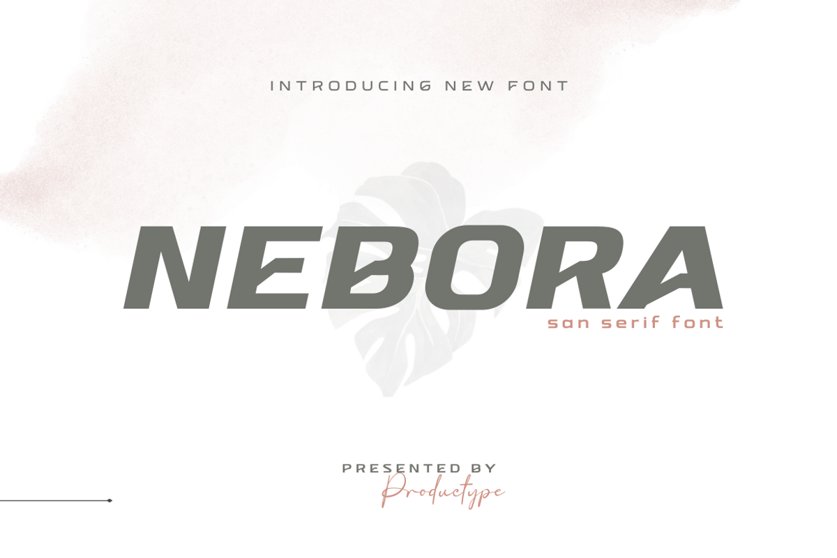 Nebora, a Sans Serif Font by productype1 (Photo 1 of 16)
