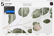 BUNDLE Watercolor Procreate Brushes, a Brush Add-On by Les Frolova (Thumbnail 14 of 17)