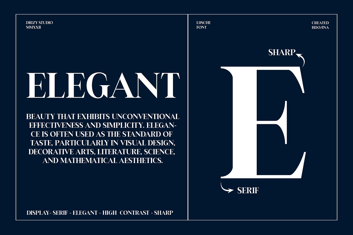 Losche, a Font by Drizy (Photo 4 of 10)