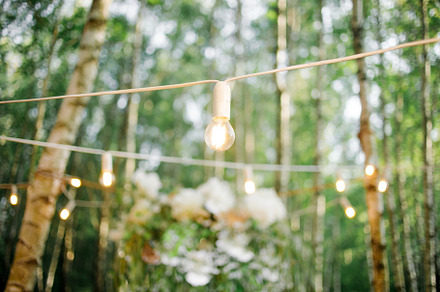 Decorations, floristry in the forest, a Holiday Photo by Karpyshyn Yuliia