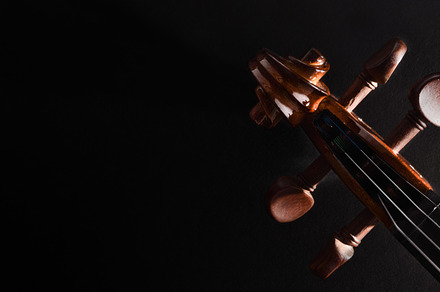 Violin pegbox on dark background top, an Arts & Entertainment Photo by Davizro's Market