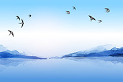 Japanese ink painting sumi-e. Birds., an Animal Illustration by Elina_Li (Thumbnail 19 of 25)