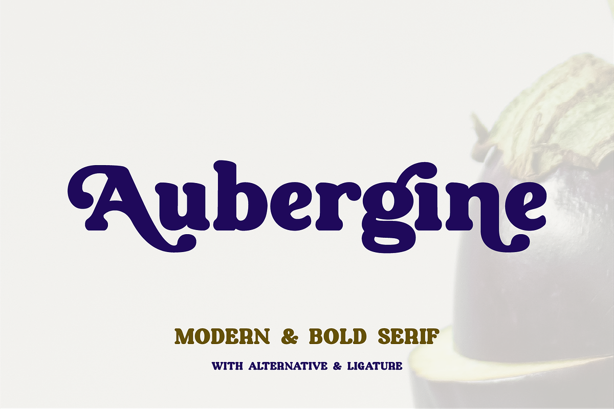 Aubergine - Modern Bold Serif, a Serif Font by Fridaytype (Photo 1 of 9)