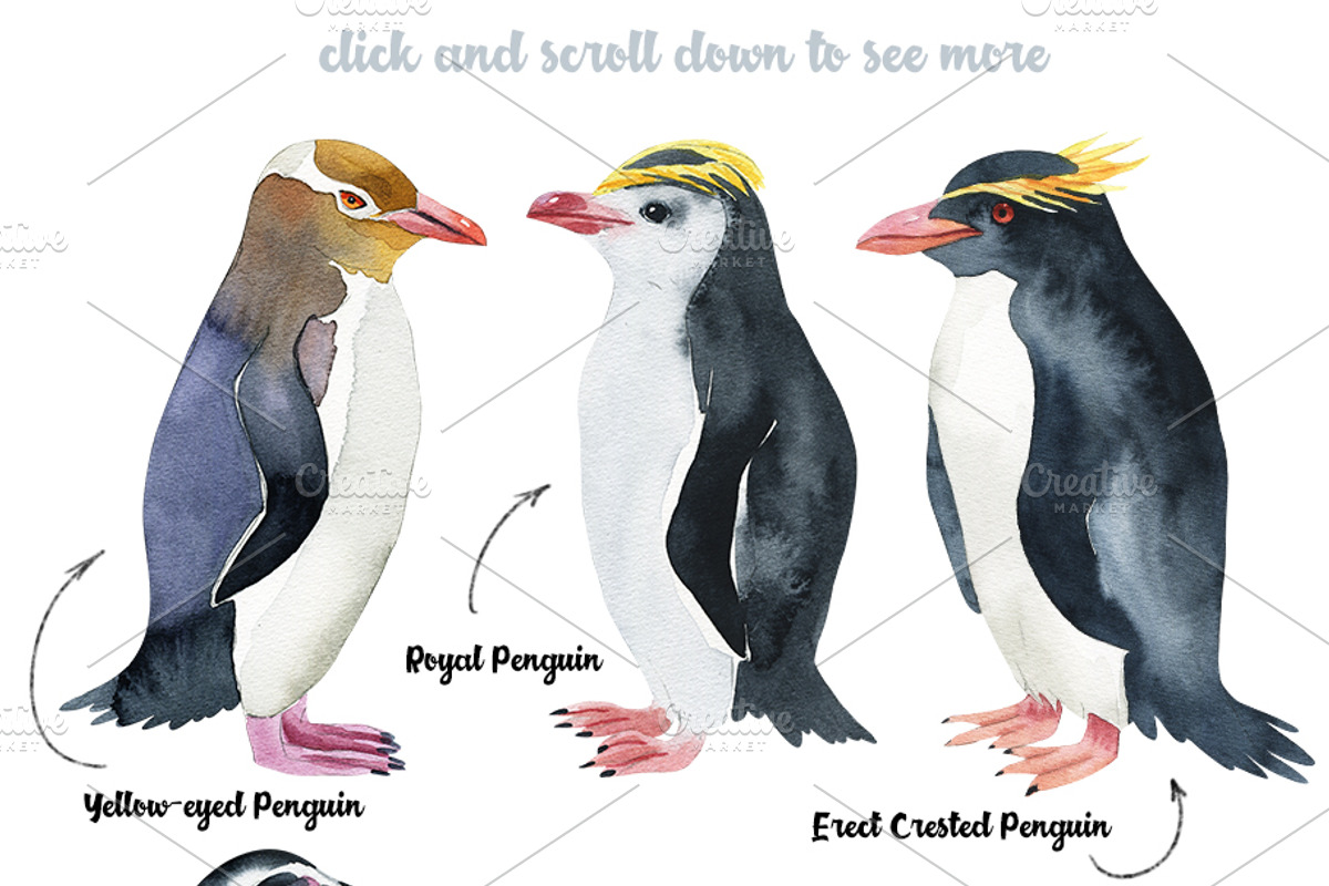 Penguins at the Pole-illustration, an Animal Illustration by KatBranchArt (Photo 2 of 5)