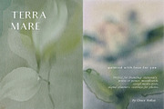 Organic Blurred textured backgrounds, a Background Graphic by Grace Noboa Illustrations (Thumbnail 7 of 24)