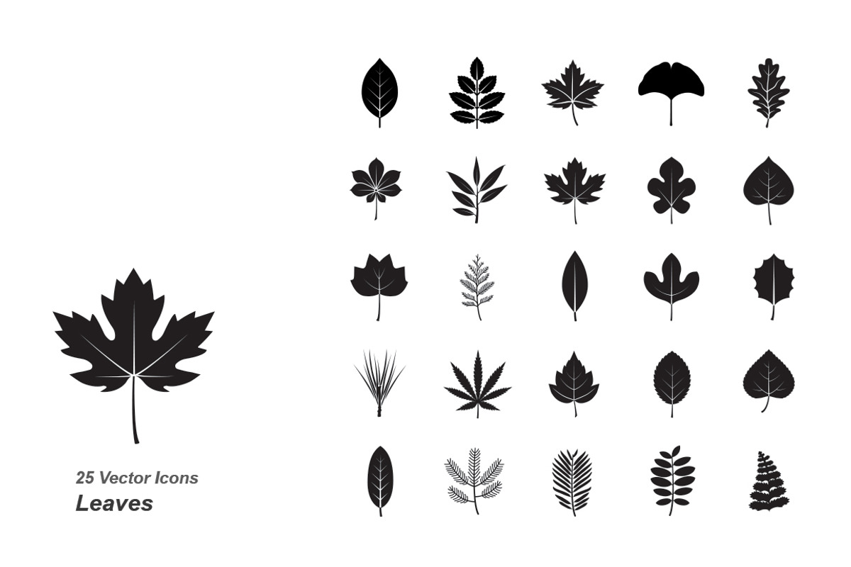 Leaves vector icons, an Icon by Jisun Park