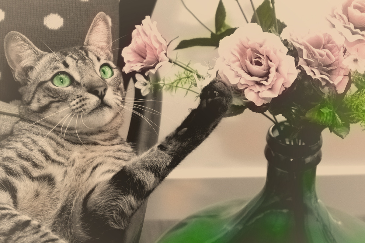 Colorized Old Photo Effect Photoshop, an Action Add-On by PhotoSpirit (Photo 9 of 11)