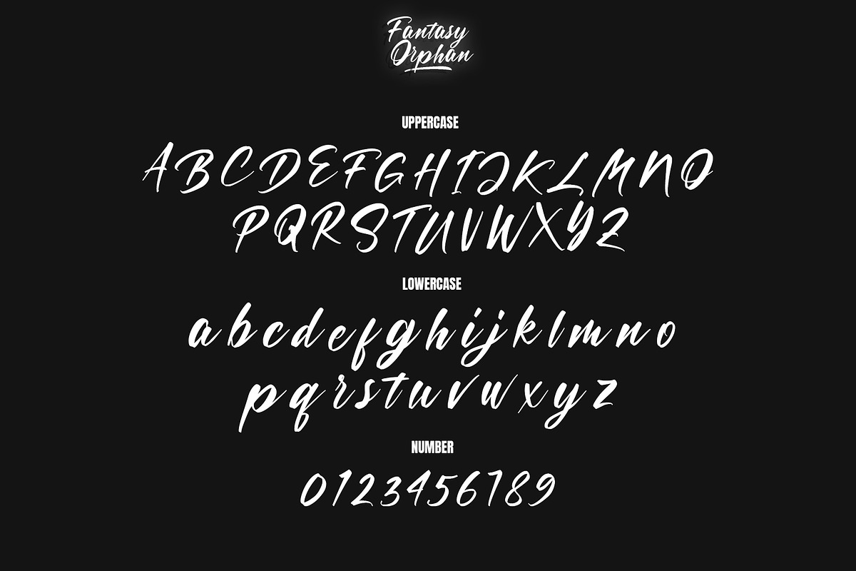 Fantasy Orphan Script, a Script Font by Analogous (Photo 11 of 13)