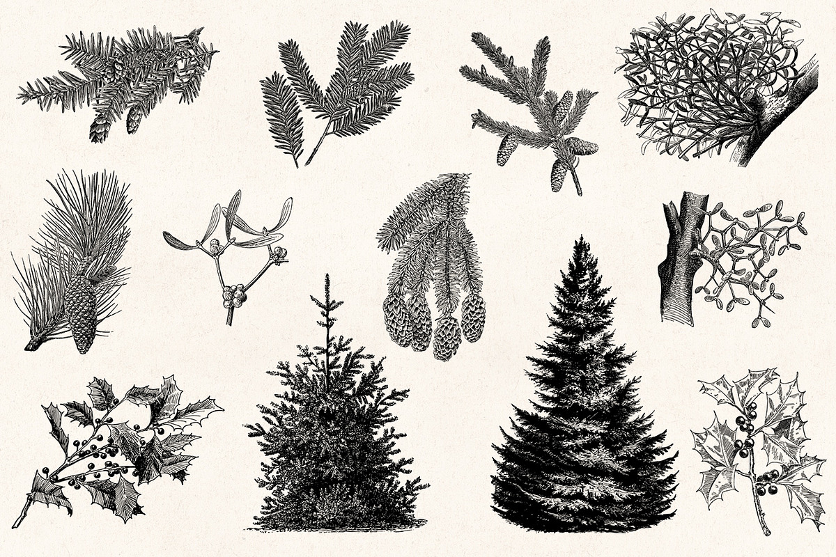 Winter Holidays - Vintage Engravings, a Decorative Illustration by Graphic Goods (Photo 7 of 10)