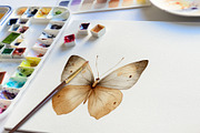 Magical Butterfly Wings Watercolor, an Animal Illustration by Deckar_art (Thumbnail 2 of 3)