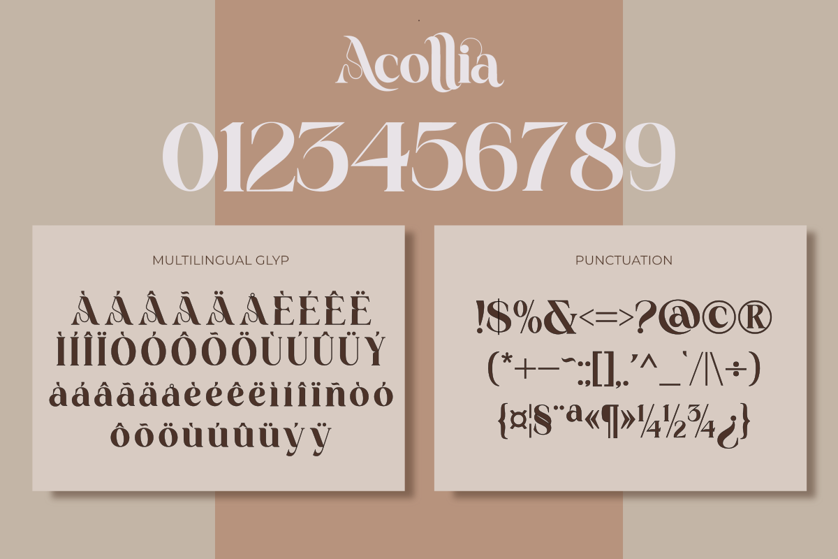 Acollia, a Serif Font by saemoon creative (Photo 5 of 13)