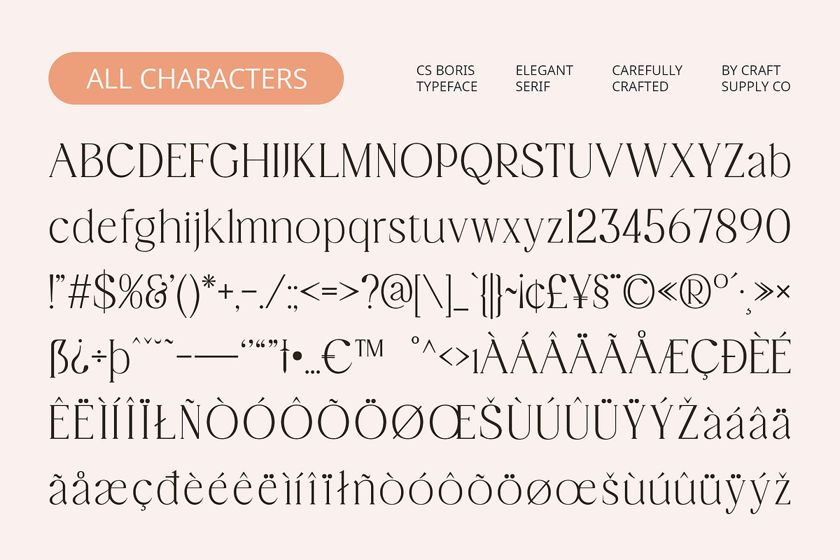CS Boris – Elegant Font, a Serif Font by Craft Supply Co. (Photo 8 of 8)