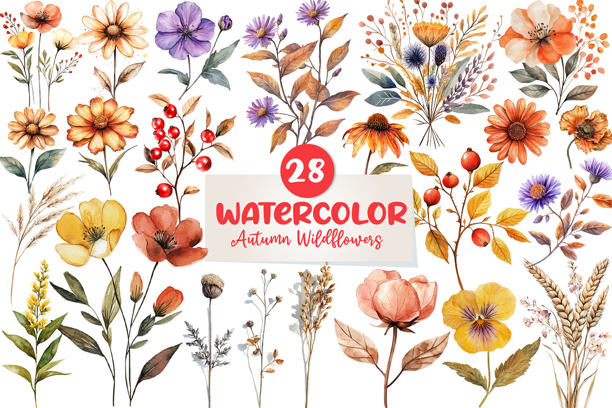 Autumn Wildflowers Clipart, an Illustration by CreationArt (Photo 1 of 5)