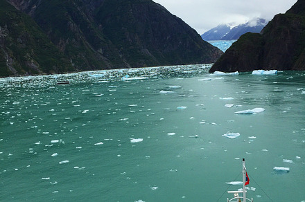 Glacier by Boat