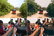 Tropical breeze - Lightroom preset preview 4
