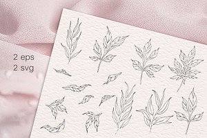 Peony Procreate Stamps, Cliparts