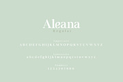 Aleana, a Serif Font by geengraphy (Thumbnail 3 of 4)
