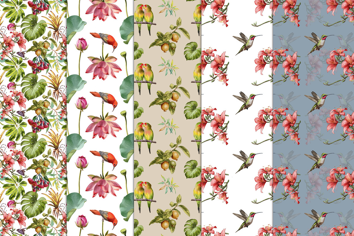 Watercolor tropical birds, an Illustration by IrynaPanashii (Photo 9 of 11)
