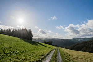 Way into the sunlight