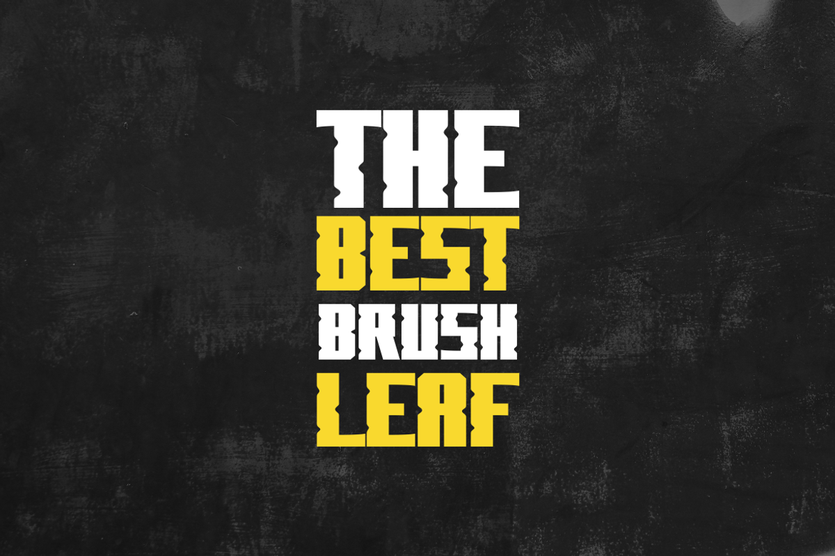 Cluntbrush - Font, a Sans Serif Font by artchiles_design (Photo 3 of 5)
