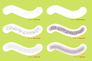 Fruity Texture Procreate Brush Set, a Brush Add-On by Tayla de Beer (Thumbnail 5 of 8)