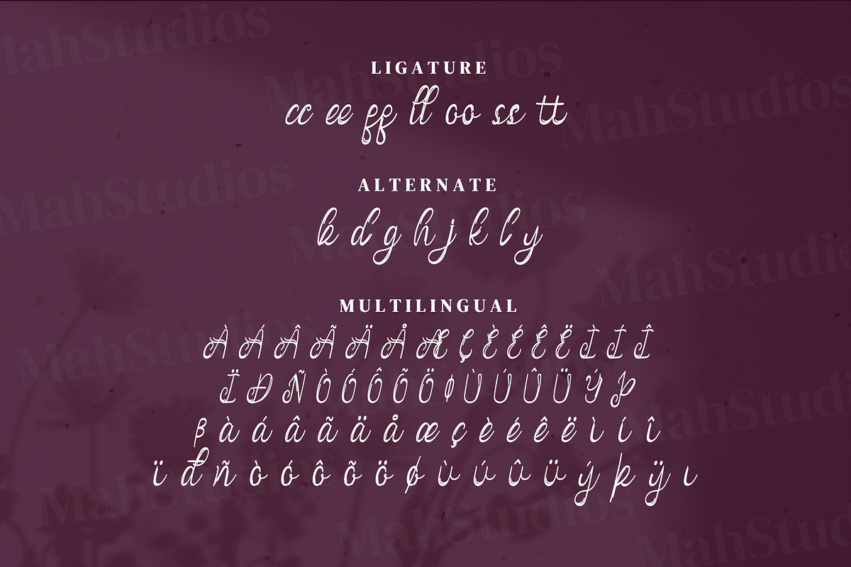 Vanadoora Script Fonts, a Script Font by mahstudios (Photo 14 of 15)