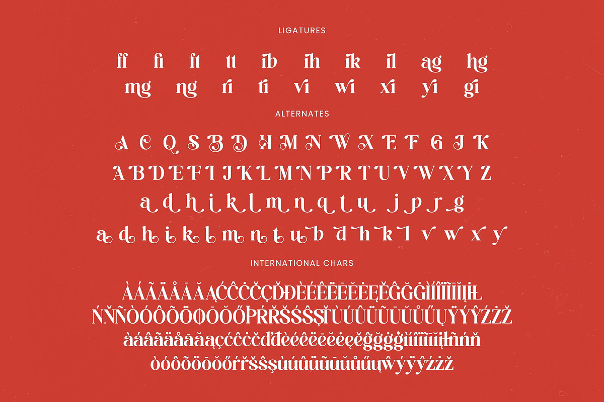 Beyond Wandler Modern Serif Font, a Serif Font by timelesstype.co (Photo 19 of 20)