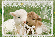 Lace Cottagecore Collection, an Object Graphic by Lidberia (Thumbnail 6 of 10)