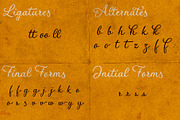 Flores del Sol calligraphic font, a Script Font by Roland Huse Design (Thumbnail 4 of 7)