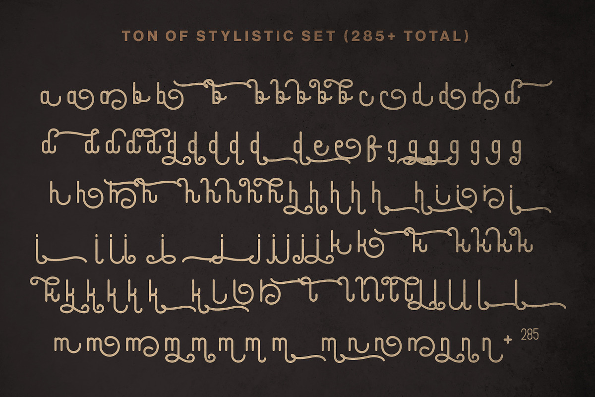 Sigmature Monoline Beautiful Script, a Script Font by Lettertype Studio (Photo 13 of 15)