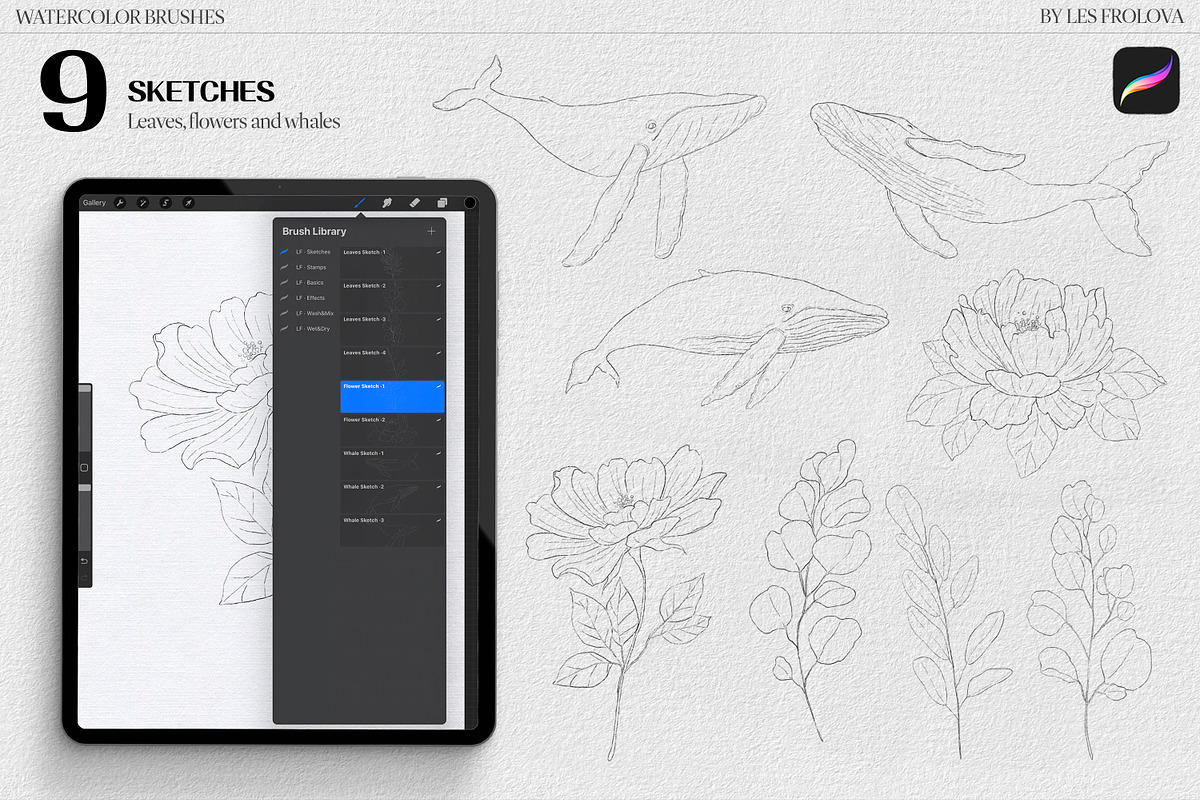BUNDLE Watercolor Procreate Brushes, a Brush Add-On by Les Frolova (Photo 7 of 17)