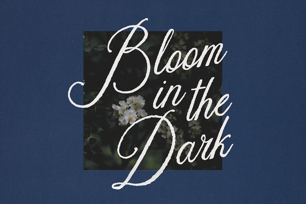 The Lone Muse Romantic Script Font, a Script Font by AnMark (Photo 7 of 11)