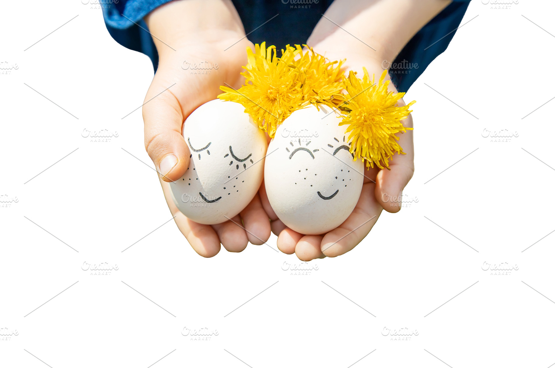 homemade eggs with beautiful faces, an Animal Photo by yanadjana