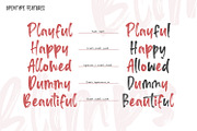 Blimps, a Script Font by din-studio.com (Thumbnail 8 of 10)
