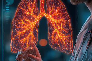 Doctor examining digital lung model, a Photo by Pixeness Studio