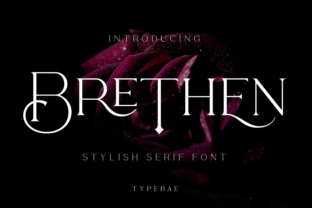 Brethen - Stylish Serif Font, a Serif Font by Typebae (Photo 1 of 13)